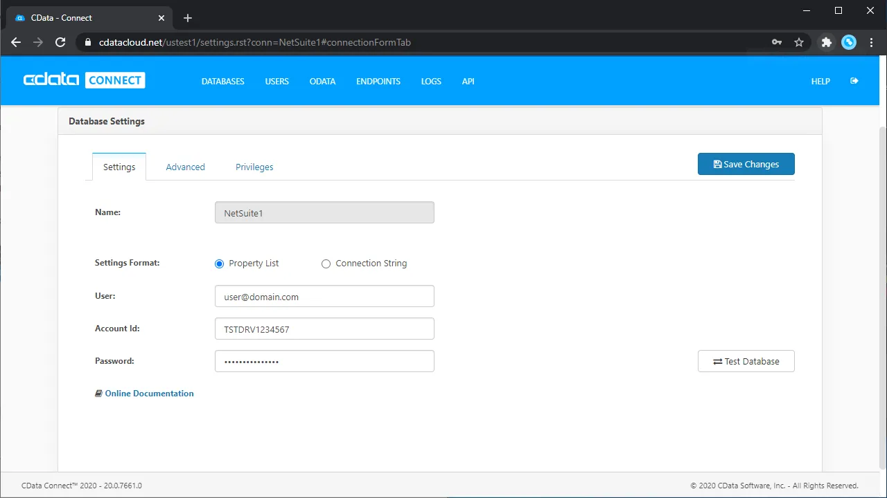 Configuring a connection （NetSuite の例）