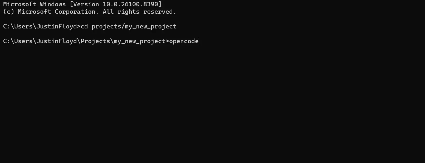 OpenCode CLI セッションを開始する