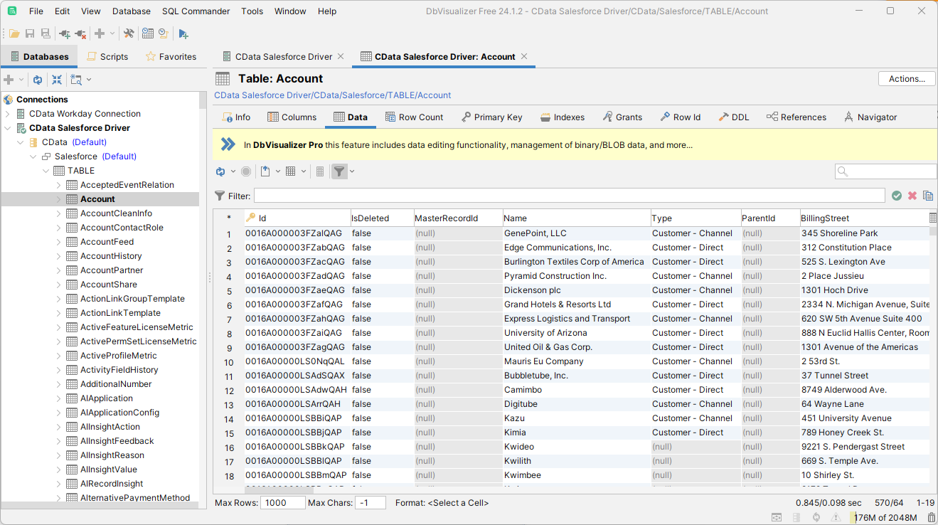 DBVisualizer でクエリを実行した結果(Salesforce の場合)。
