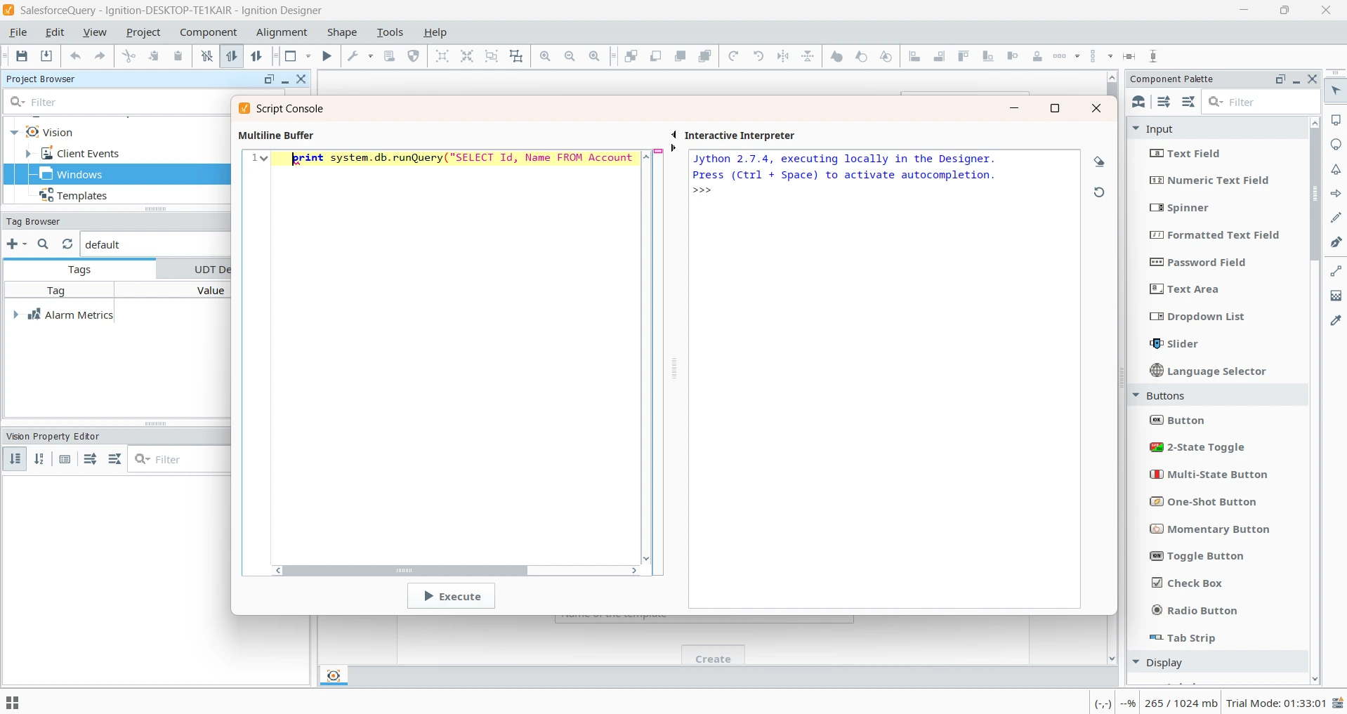 Script Console でのテストクエリの実行（画面は Salesforce の例）