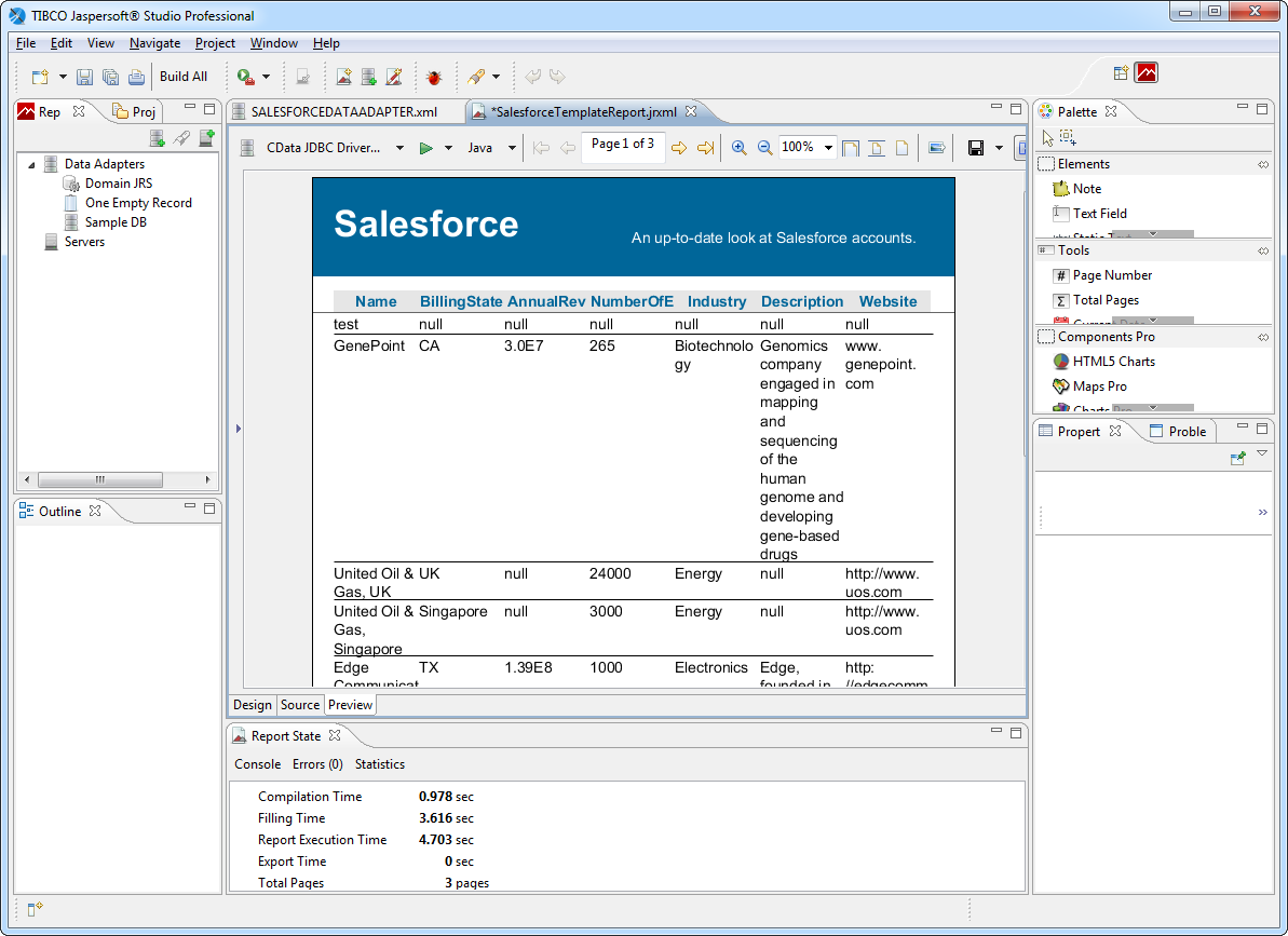 A JasperReport template populated with live data. (Salesforce is shown.)