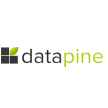 Datapine Logo