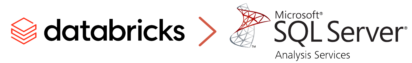 Databricks AI Data Cloud Products Partner Premier Badge