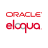 Oracle Eloqua Reporting Icon
