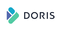 Apache Doris Logo